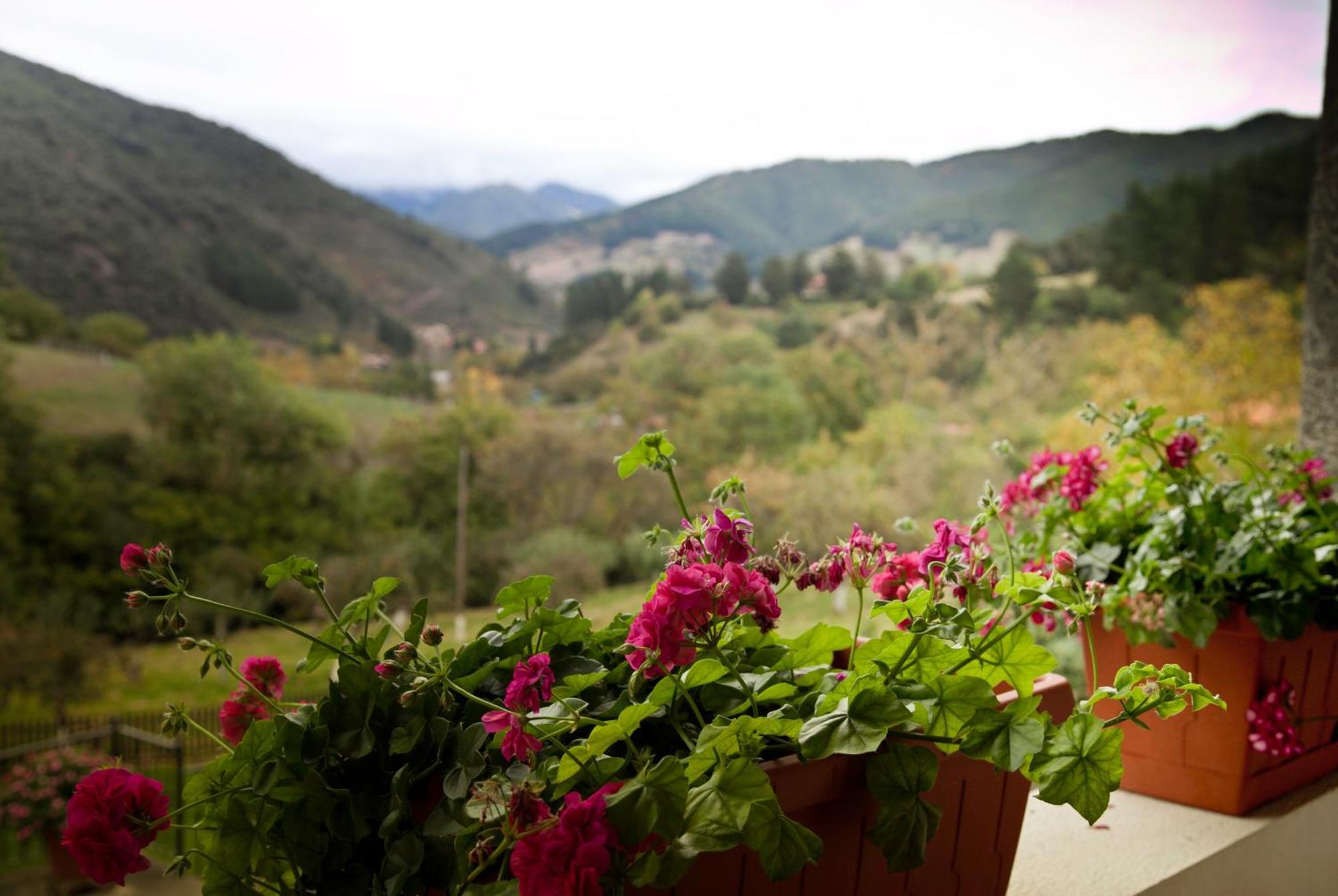Viviendas Rurales Traldega Turieno Eksteriør billede